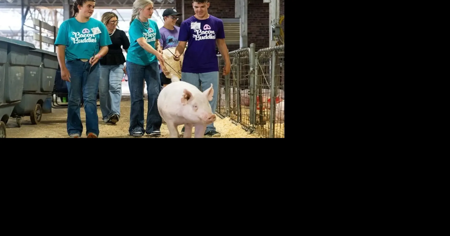 Special Olympic athletes show pigs as Iowa State Fair 'Bacon Buddies'