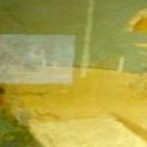 Public Invited To Special Viewing Of Recovered Grant Wood Murals