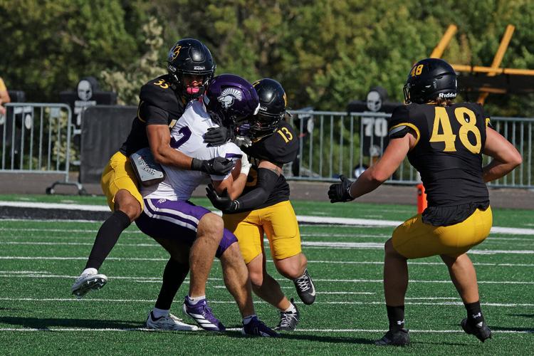 Defense comes up big in Wildcats' 17-14 win over Winona State