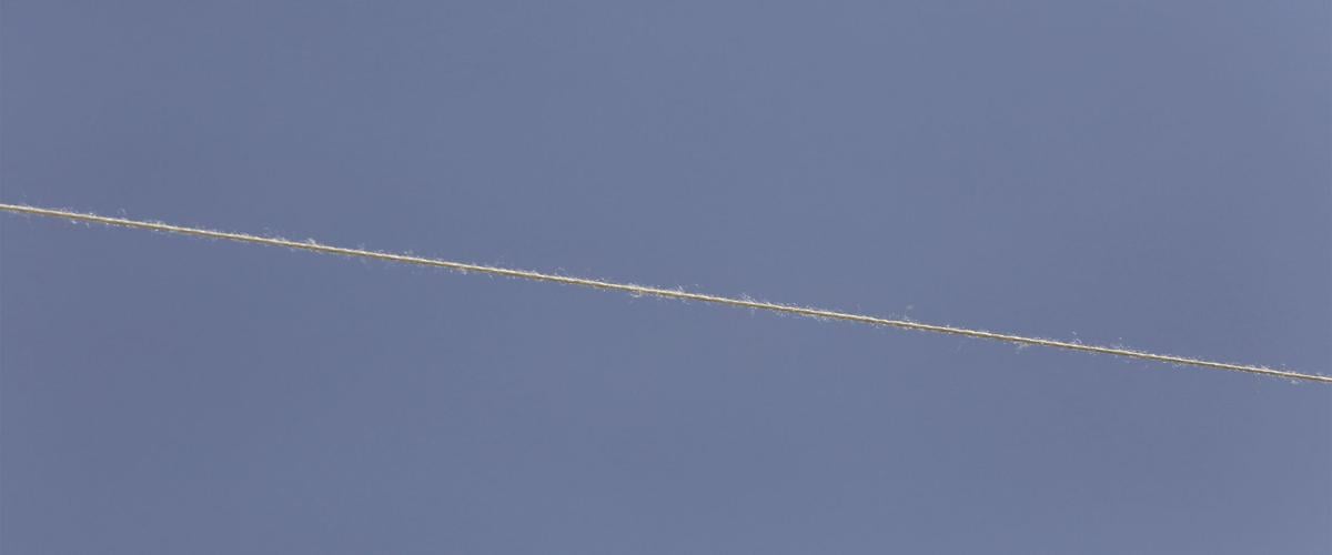 WEIRD: Spider web, string or something else? | Strange | nonpareilonline.com