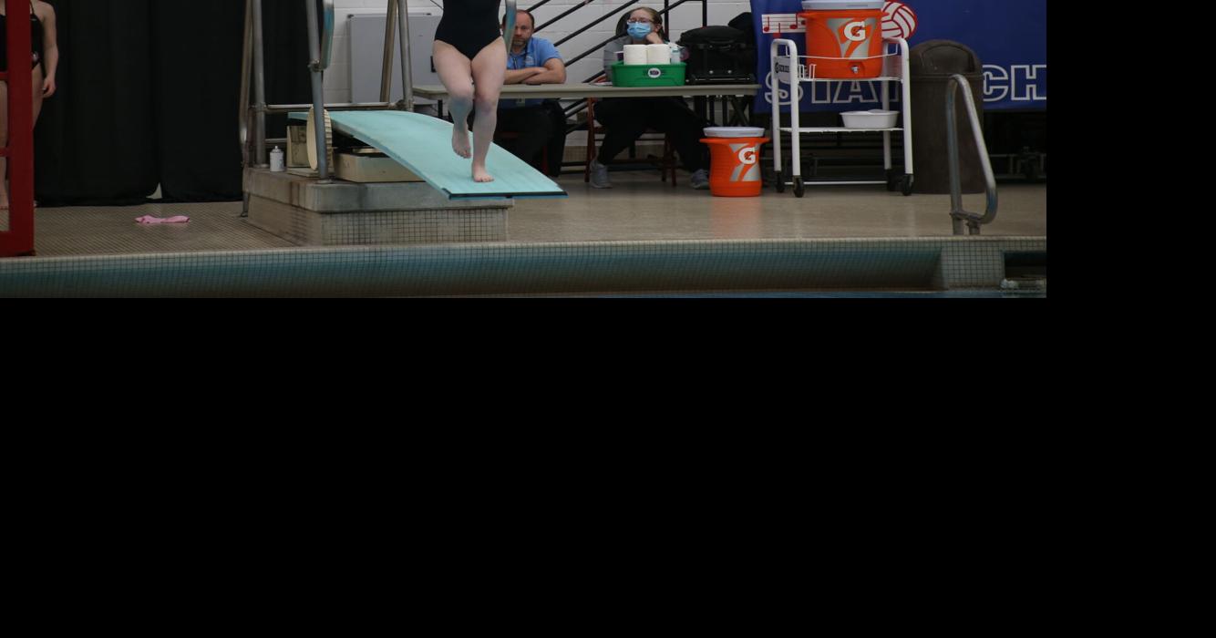 Qualifiers for the Swimming & Diving State Championships