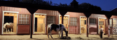 Horses Help Southwest Iowa Shares Impact of Equine-Assisted Services