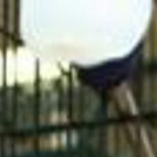 Pet Barn Owner Happy With New Location Archive Nonpareilonline Com