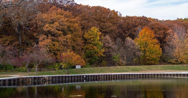 Iowa could see 'vibrant' fall leaves. See 2026's fall foliage outlook