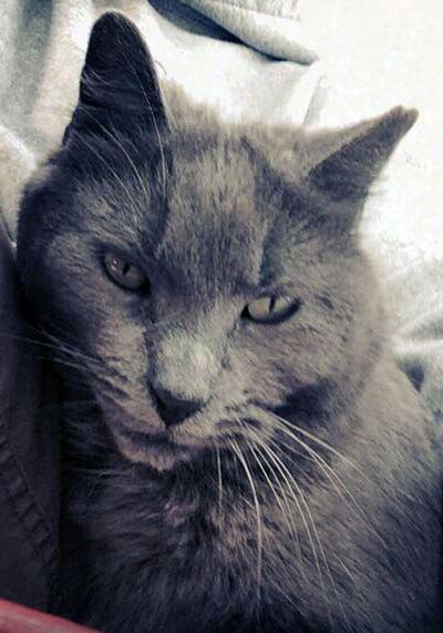 Face of the Day: Mrs. Gray