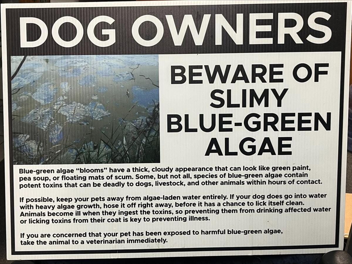 Pond at Walnut Creek Dog Park reopens after algae testing