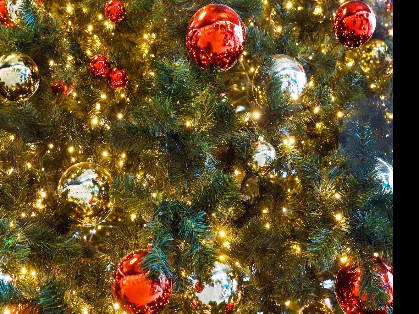10 Fun Things To Do To Get In The Holiday Spirit Local News Nonpareilonline Com