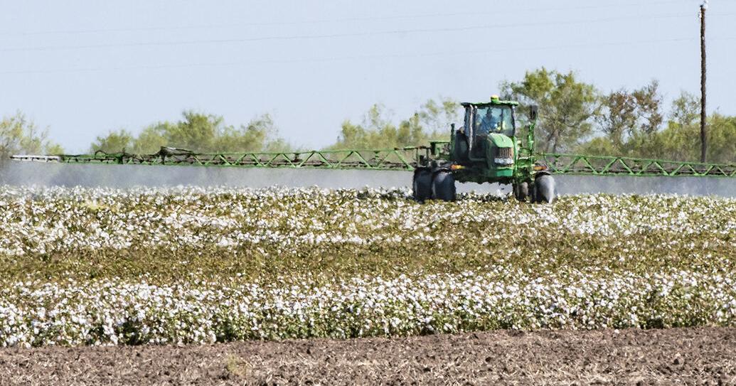 States, FTC secure settlement in suit against Corteva pesticide loyalty programs