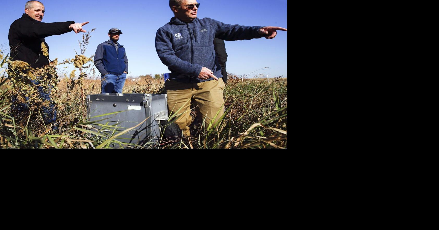 Greater Des Moines Watershed Program launches with more cover crop incentives