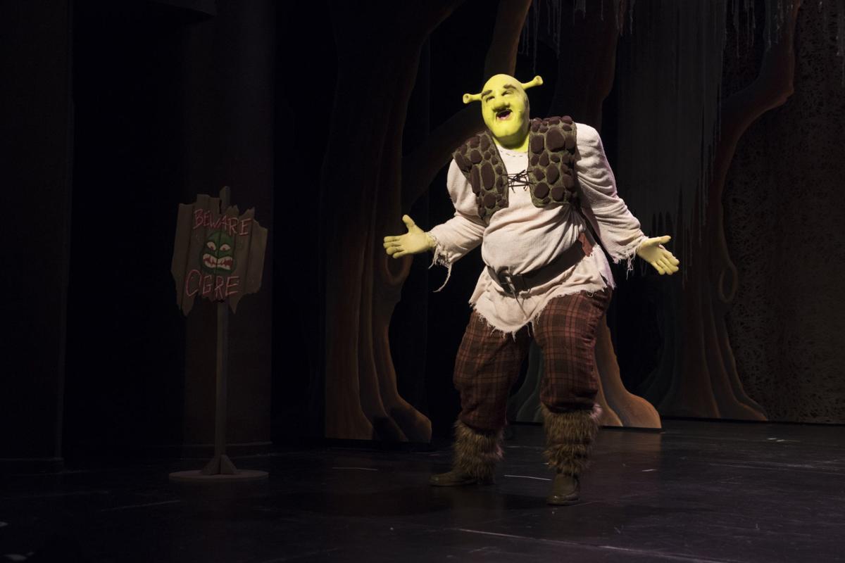 Shrek The Musical Is Family Fun At Omaha Community Playhouse