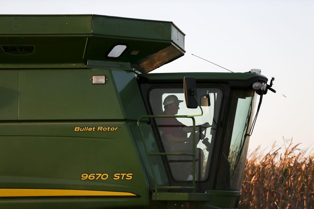 20210927_HARVEST_365.jpg