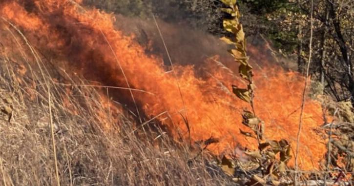 Iowa DNR fines Pottawattamie County landowner after open-burning complaints