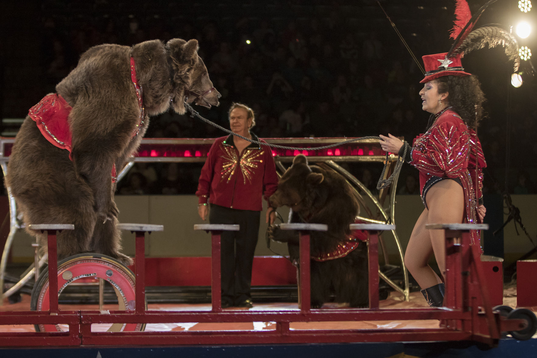 PETA Condemns Use Of Bears In Shriner Circus After Incident At MAC   58a670185953c.image 