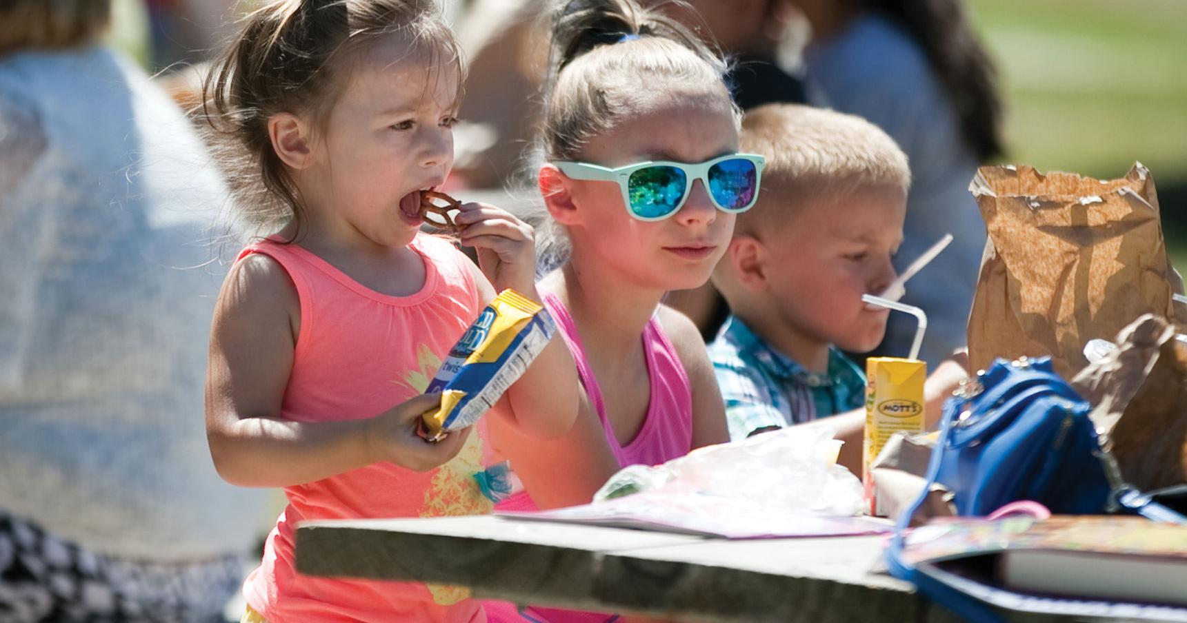 Council Bluffs receives summer meal grants - Vimarsana News