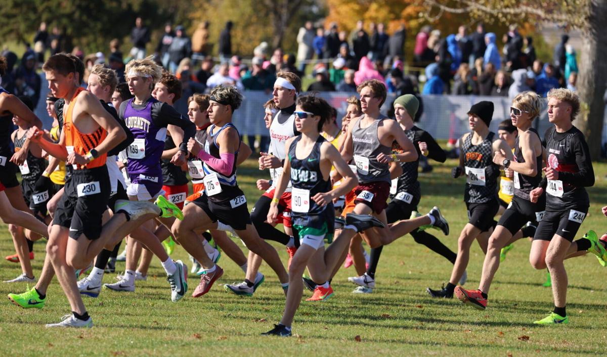 Cross Country: 2026 State Qualifying Sites