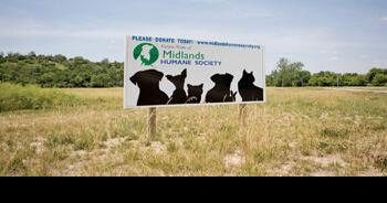 Consider donating a wish list item to the humane society - Vimarsana News
