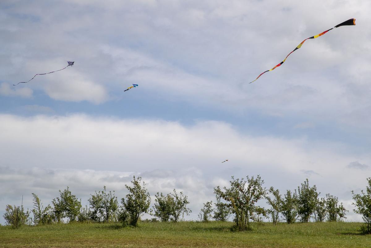 Photos Kite flying club reaches for the sky