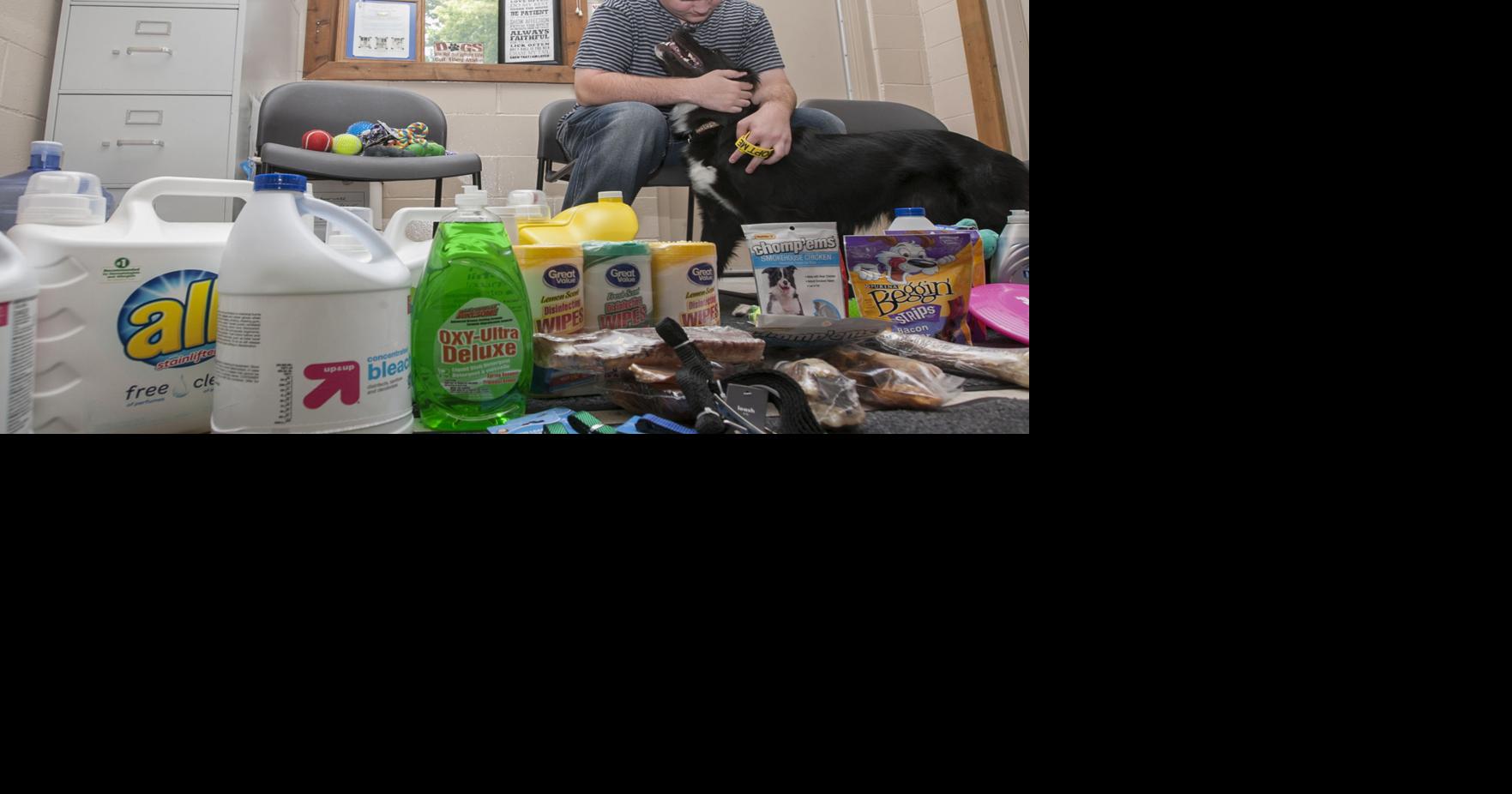 Boy uses birthdays to help dogs in shelter
