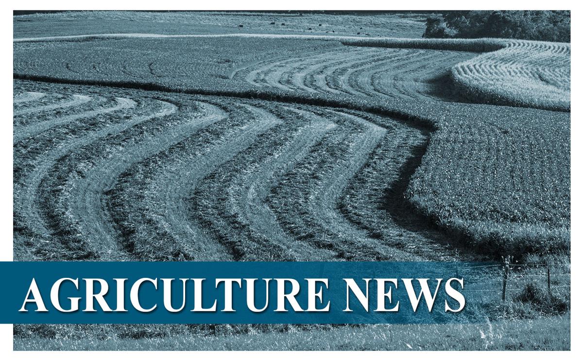 Crops In West Central Iowa Counties Survive The Wet Spring Ag