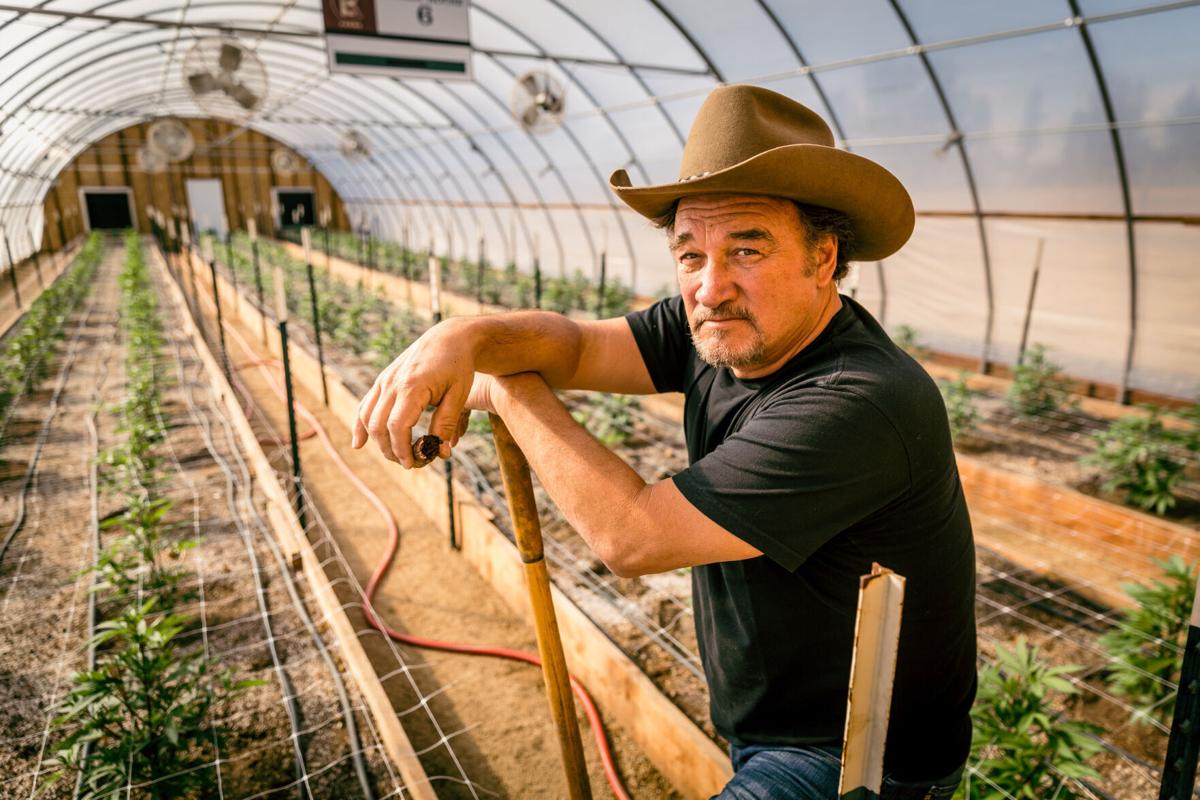Jim Belushi