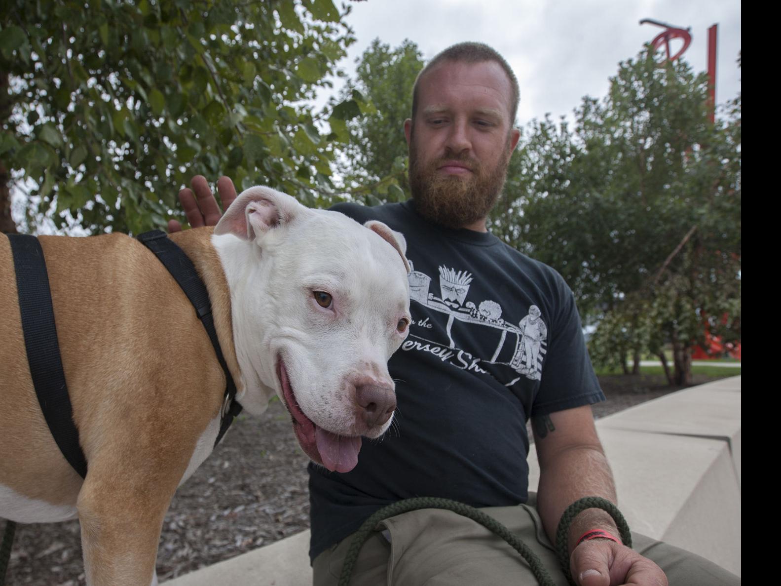 pit bull ban removed