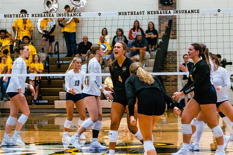 'Cats extend win streak to 11 with sweep at Jamestown