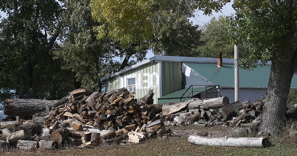 Tree thefts an uncommon crime on the rise in Iowa - Vimarsana News