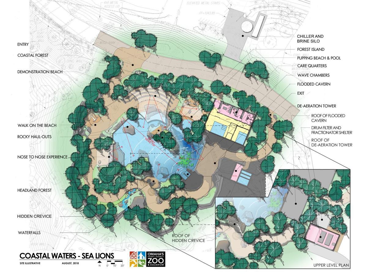 Henry Doorly Zoo Visitors Will Experience Sea Lions Like Never