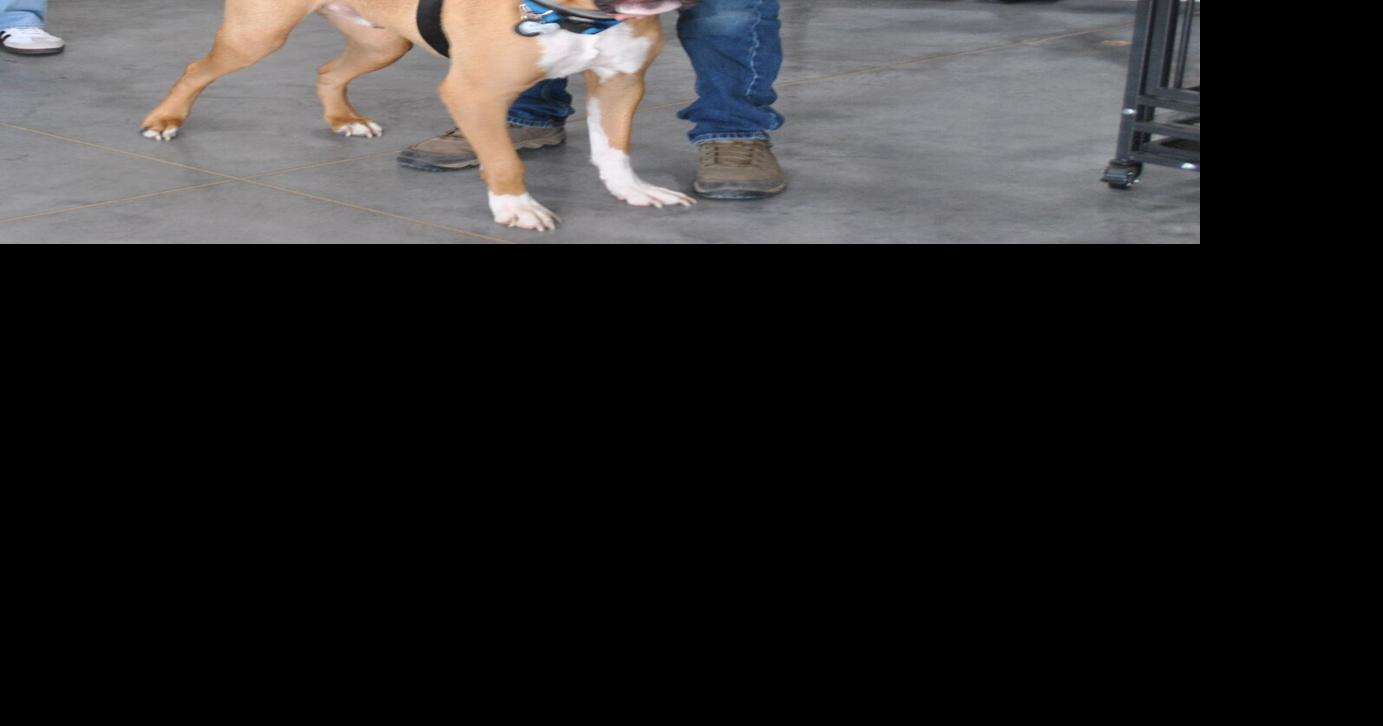 Ribbon-cutting celebrates “dog wonderland”