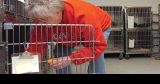 Mary Jones, co-founder of SOLAS, had a passion for animals - Vimarsana News