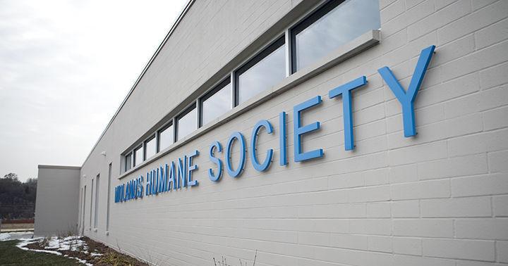 MHS: Wags & Wheels car show moving to Iowa Western - Vimarsana News
