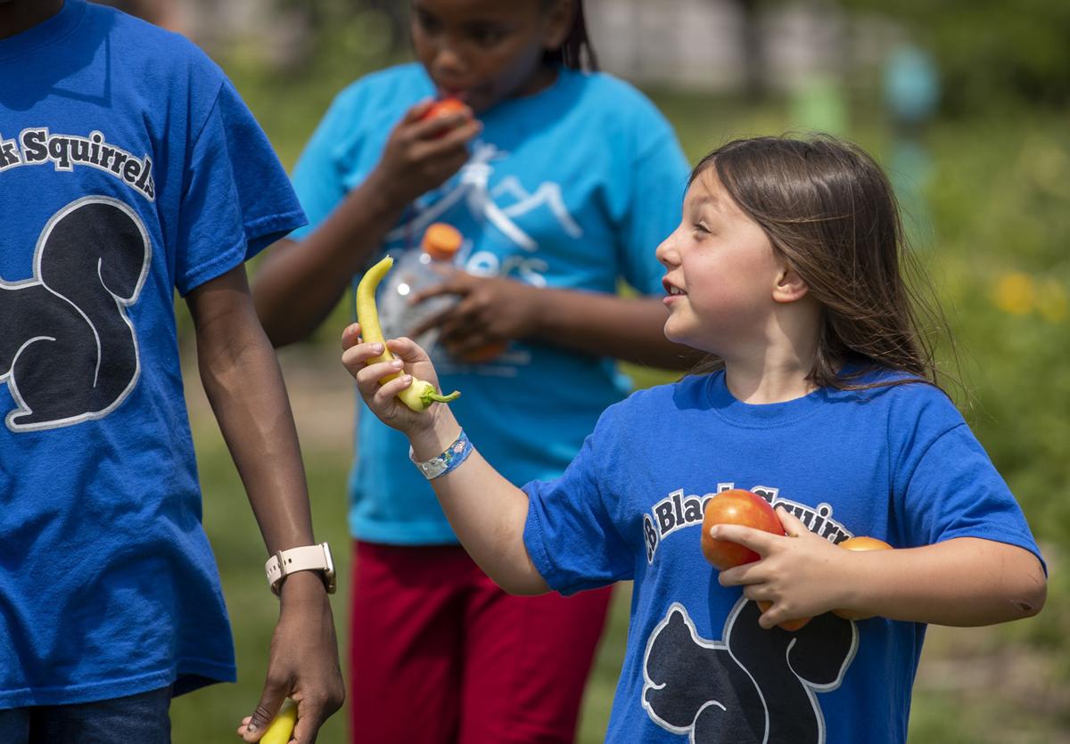 20210722_new_gardens_4