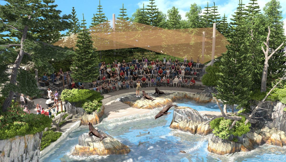 Henry Doorly Zoo Visitors Will Experience Sea Lions Like Never