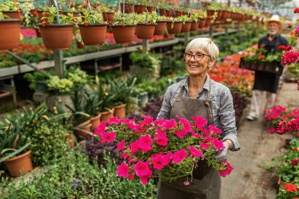 The Early Retirement Dilemma: To Work Or Not To Work?