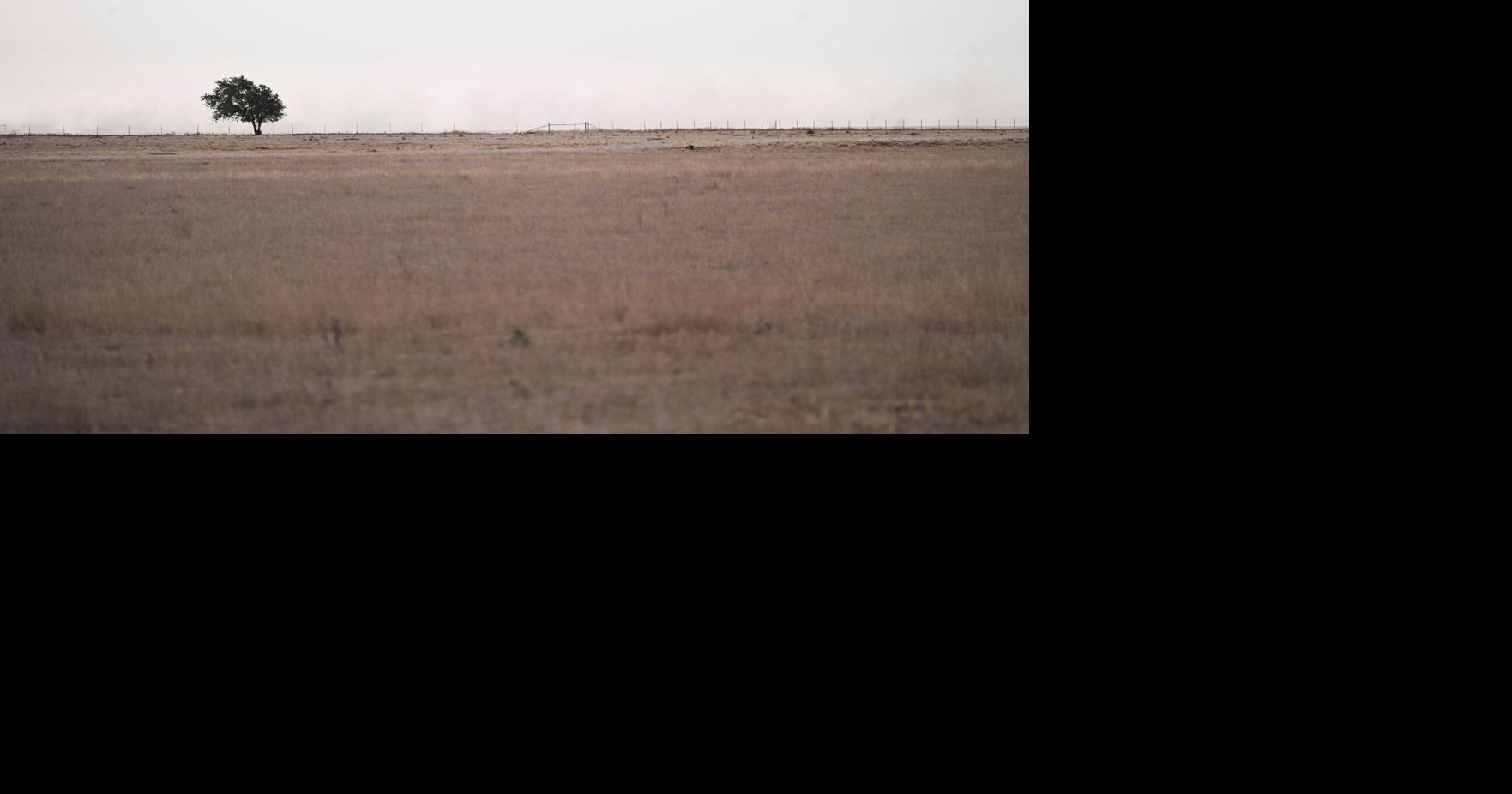University of Iowa study finds wildfire smog has undercut air-quality gains