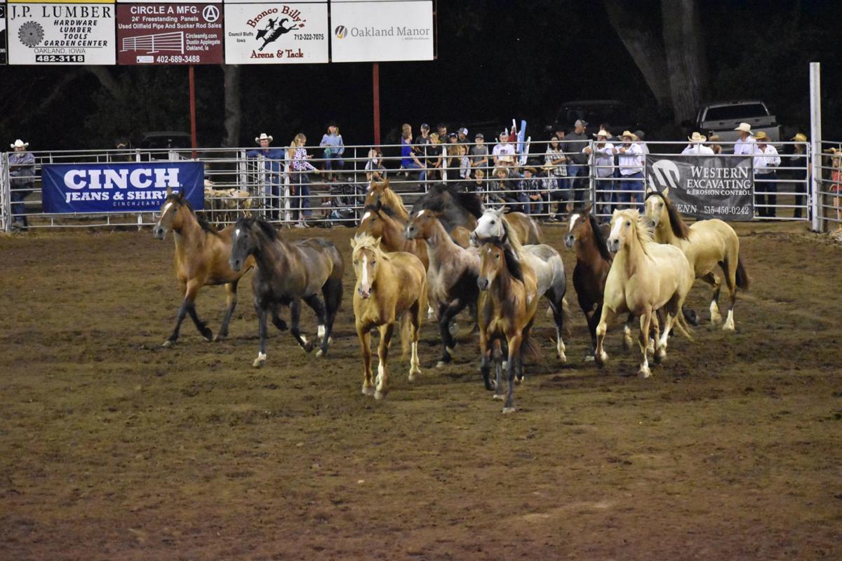Carson Community Rodeo to proceed as planned Entertainment