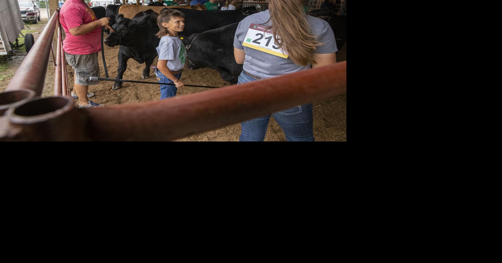 Underwood farmer joins American Angus Association