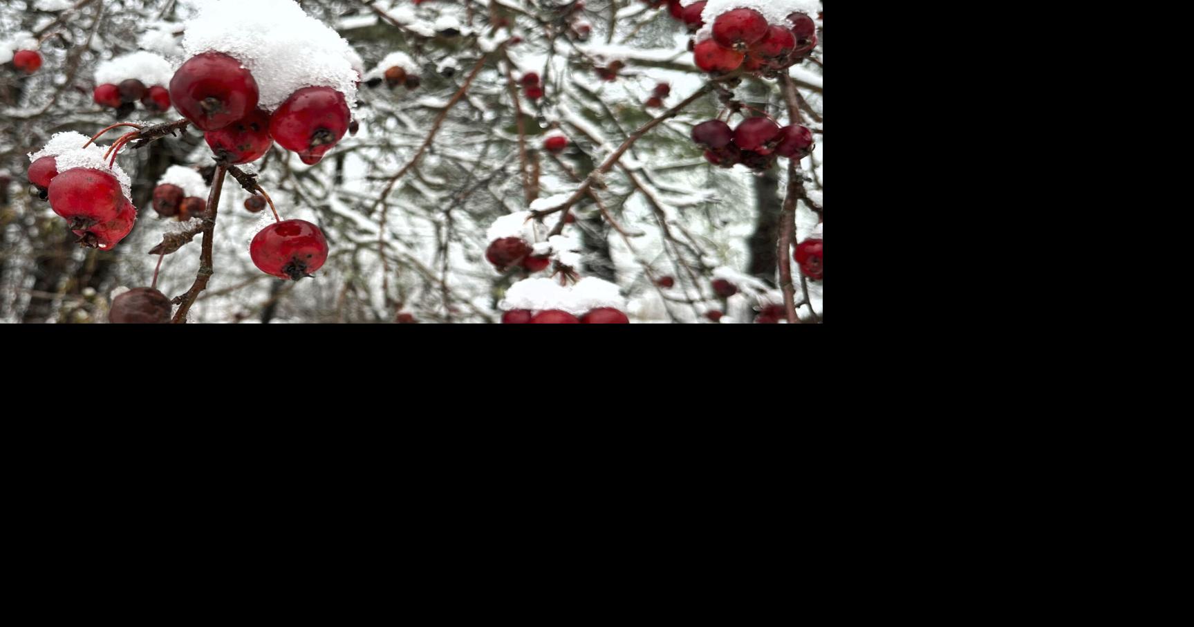 First day of winter 2023 3 methods to define the 4 seasons