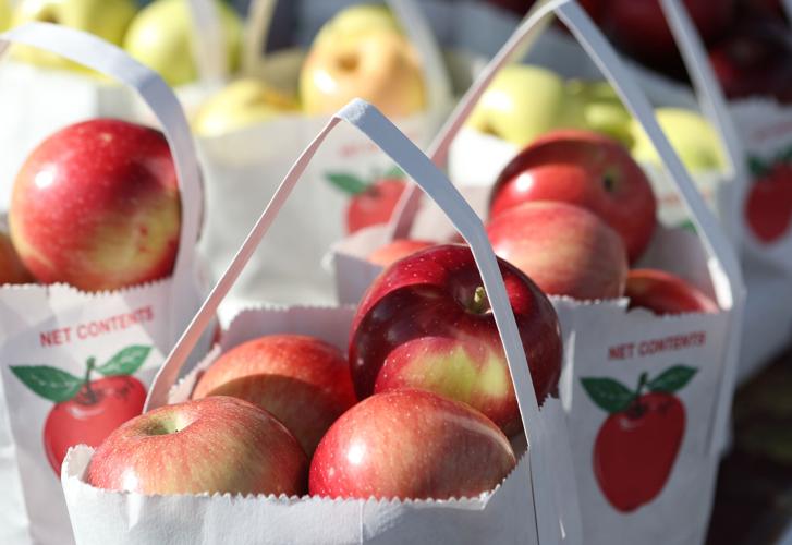 Woodbine gearing up for 33rd annual Applefest scheduled for this weekend