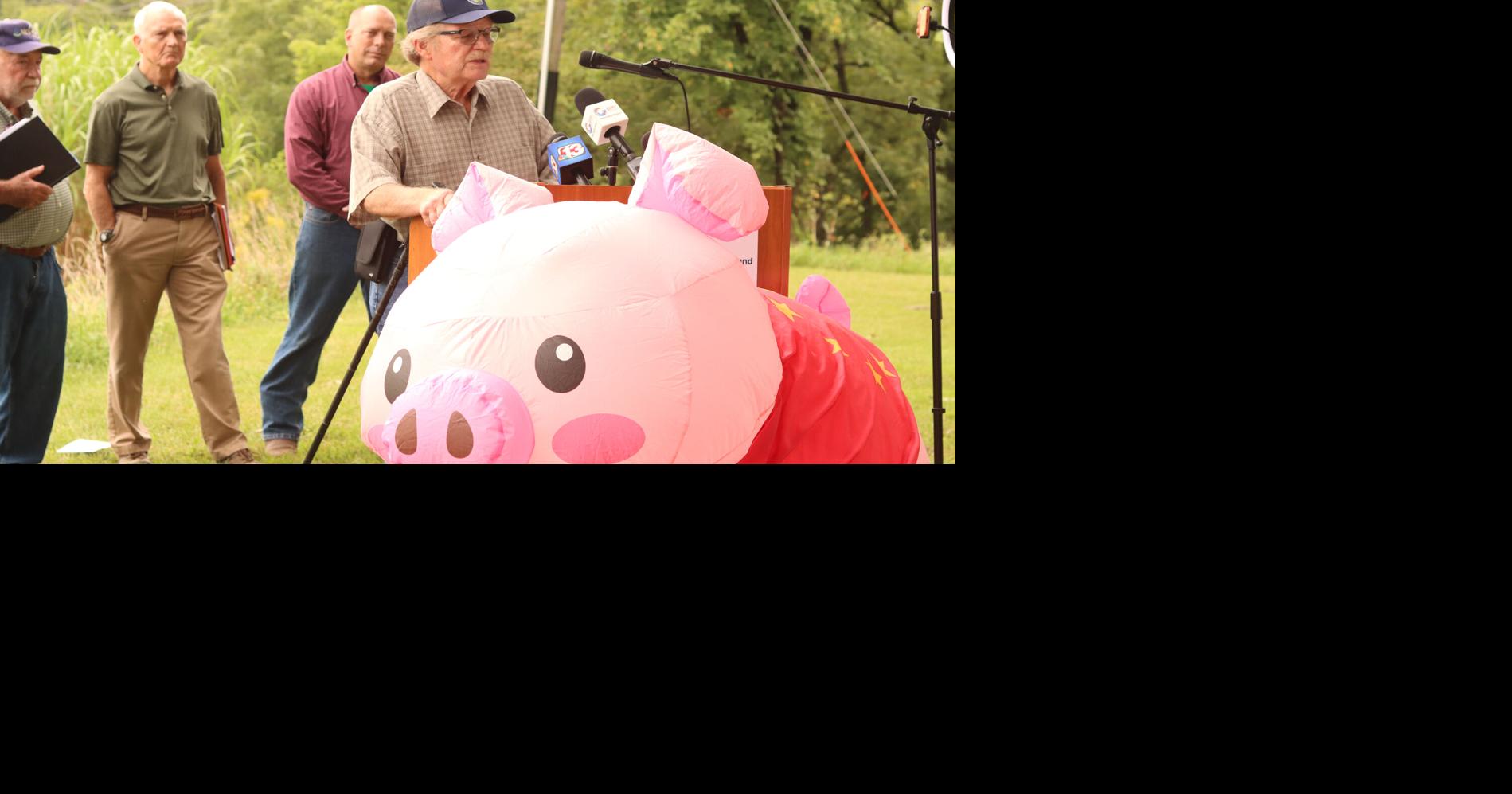 Iowa farmers argue Ashley Hinson’s Save Our Bacon act would hurt small producers