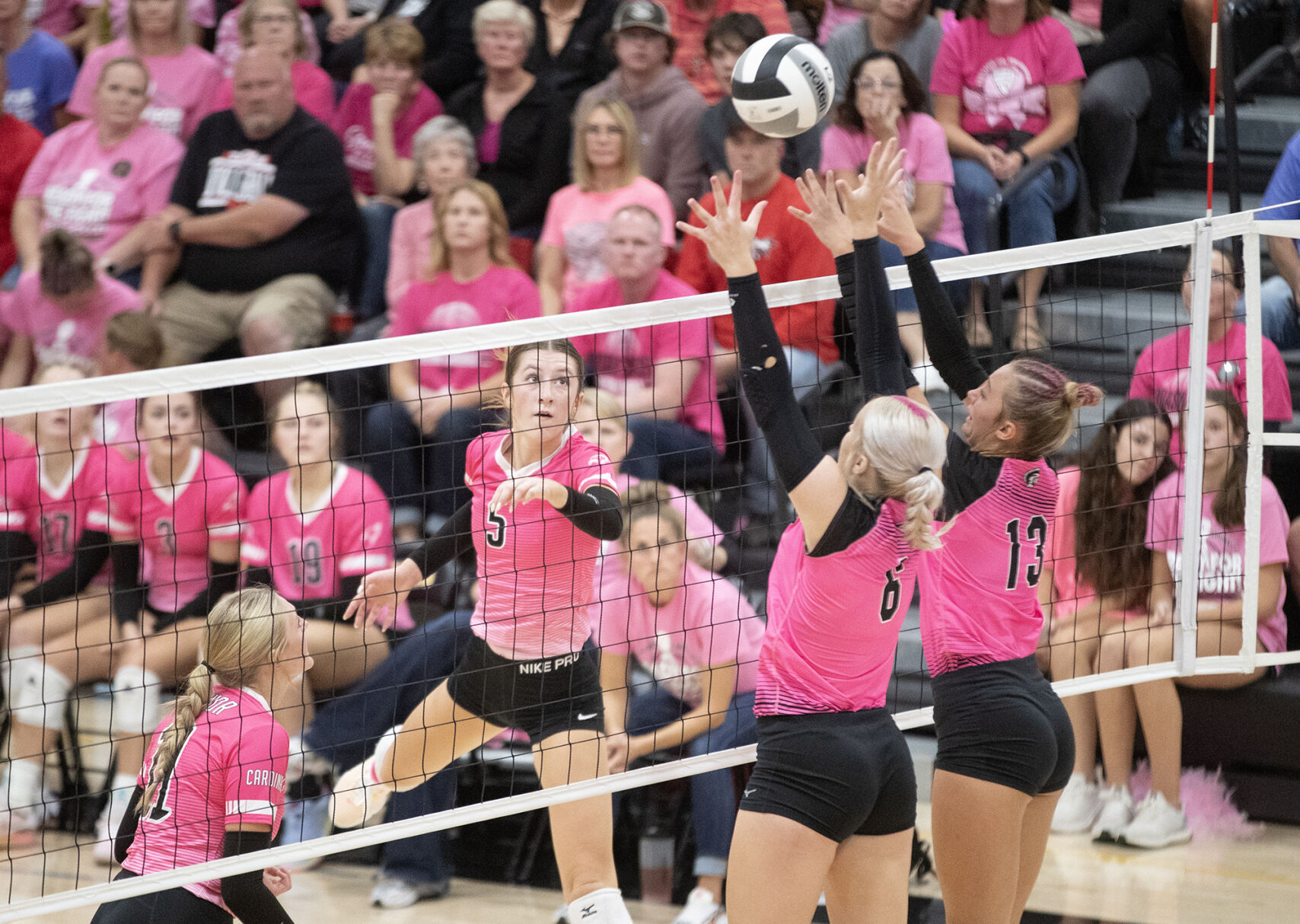 Cardinals, Trojans, Bulldogs fill All-WIC Volleyball First Team; All-Academic teams also released