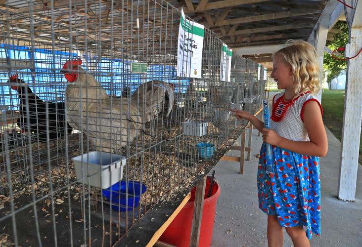 Pottawattamie County Fair to offer livestock, exhibits, music and more