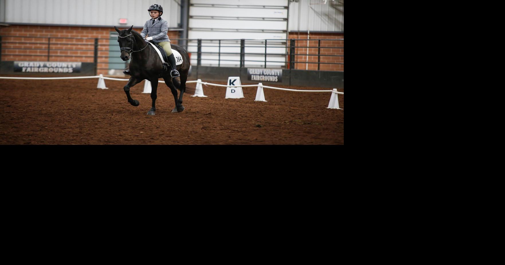 Equestrian event showcases Morgan horse breed, dressage competitions ...