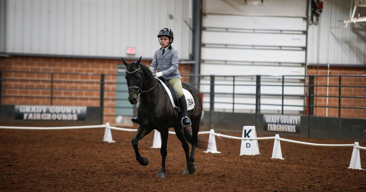 Equestrian event showcases Morgan horse breed, dressage competitions ...