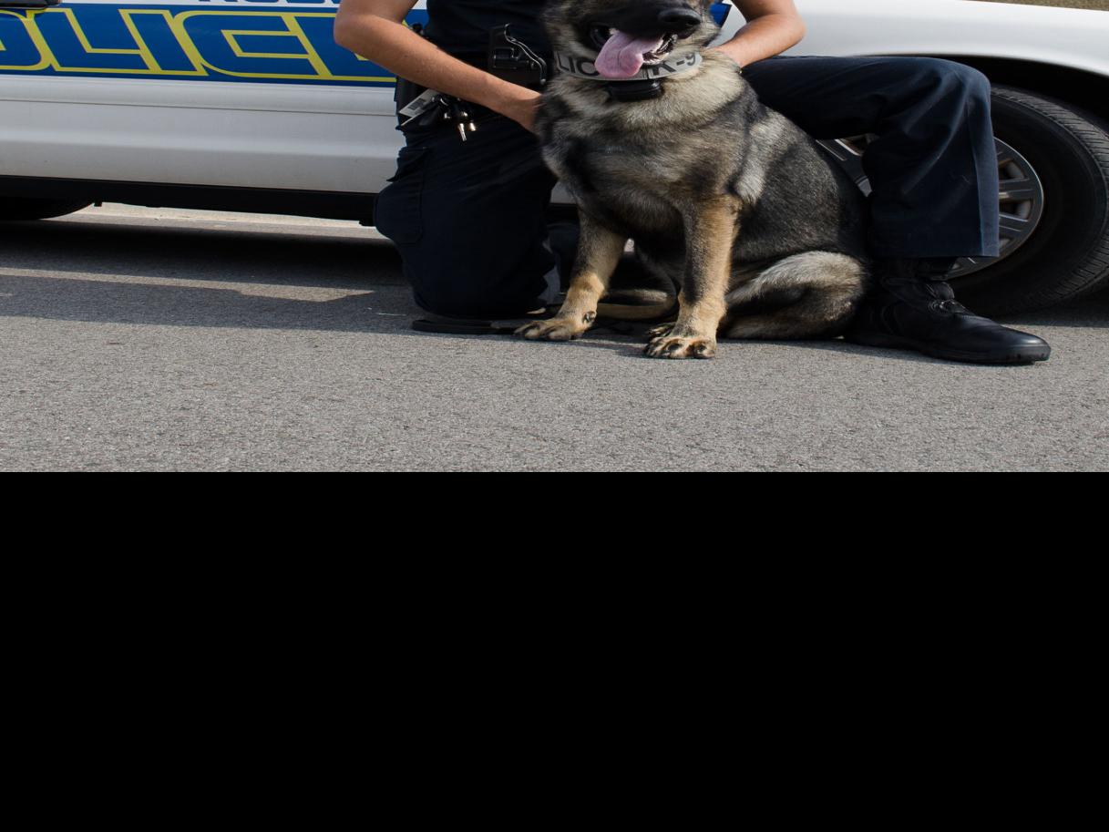 Noble Has New K 9 Police Officer News Normantranscript Com