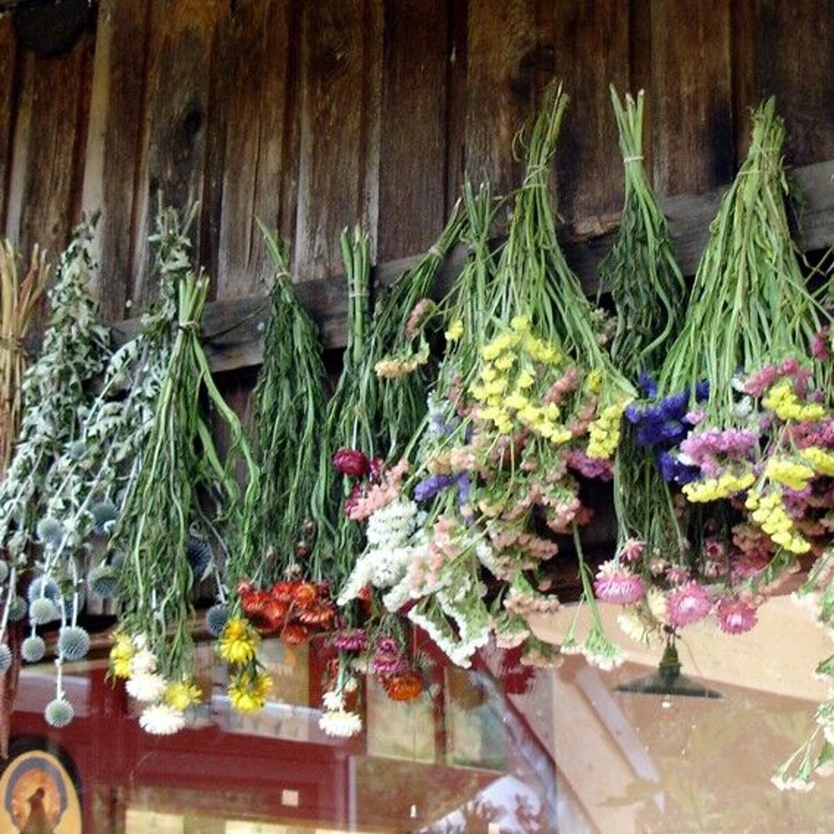 B9q Hkdfjzldcm B9q Hkdfjzldcm