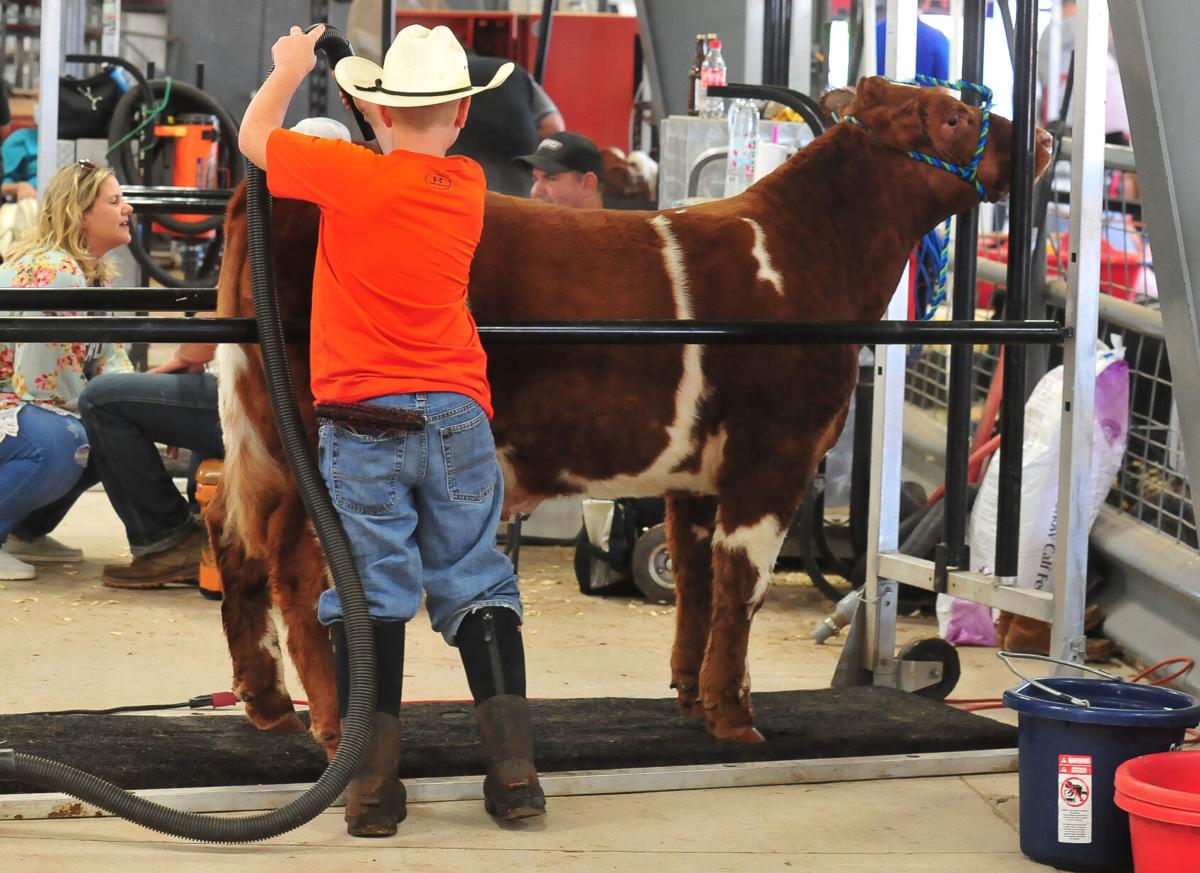 Cleveland County Free Fair