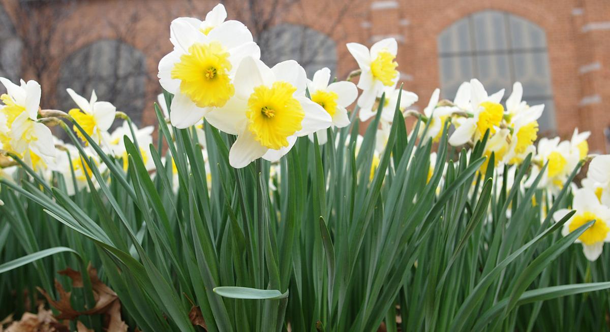 City of Norman announces Spring CleanUp dates Local News