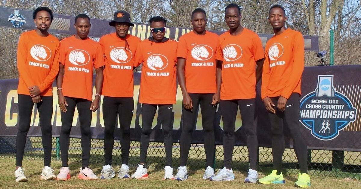 Tigers make third straight NCAA appearance, finish 28th