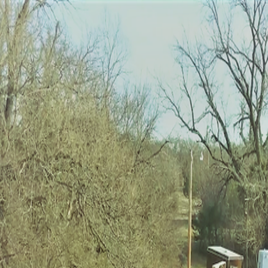 Local Christmas Tree Farm Hosting Annual Christmas Market Community Normantranscript Com